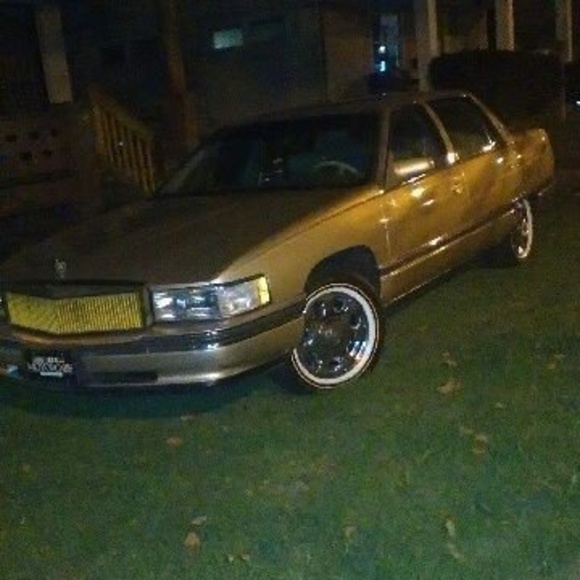 Meet your Posher, Roderick - Picture 1 of 1